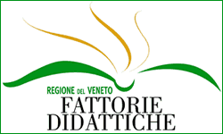 Fattorie Didattiche in Veneto