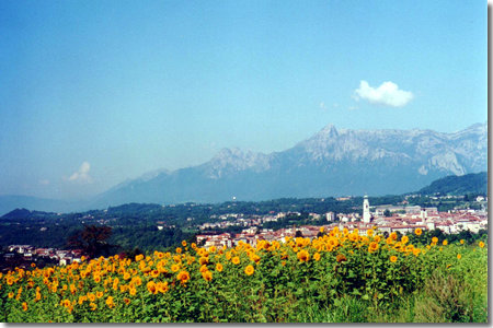 panorama verso Belluno